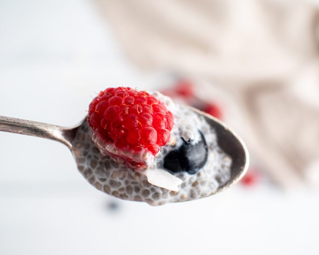 The Creamiest Chia Seed Pudding (vegan + paleo) - Eating by Elaine