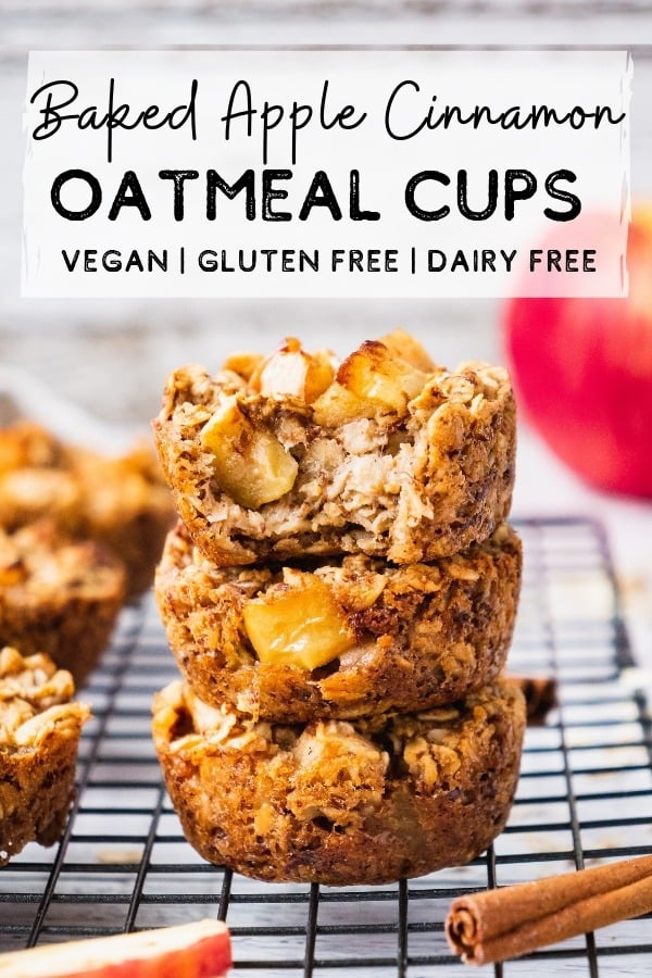 Sugar Free Instant Oatmeal Cups Cookie, Oats in Coats