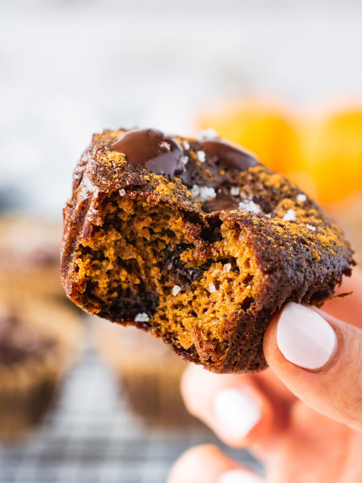 Healthy Pumpkin Chocolate Chip Muffins (Paleo, Keto, Gluten Free)