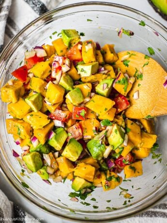 A bowl of fresh ingredients for mango avocado salsa that include fresh mango, avocado, red onion, tomatoes and cilantro.