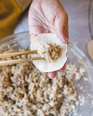 How To Make Chinese Dumplings Step By Step Shuangy s Kitchensink how-to-make-chinese-dumplings-step-by-step-shuangy-s-kitchensink