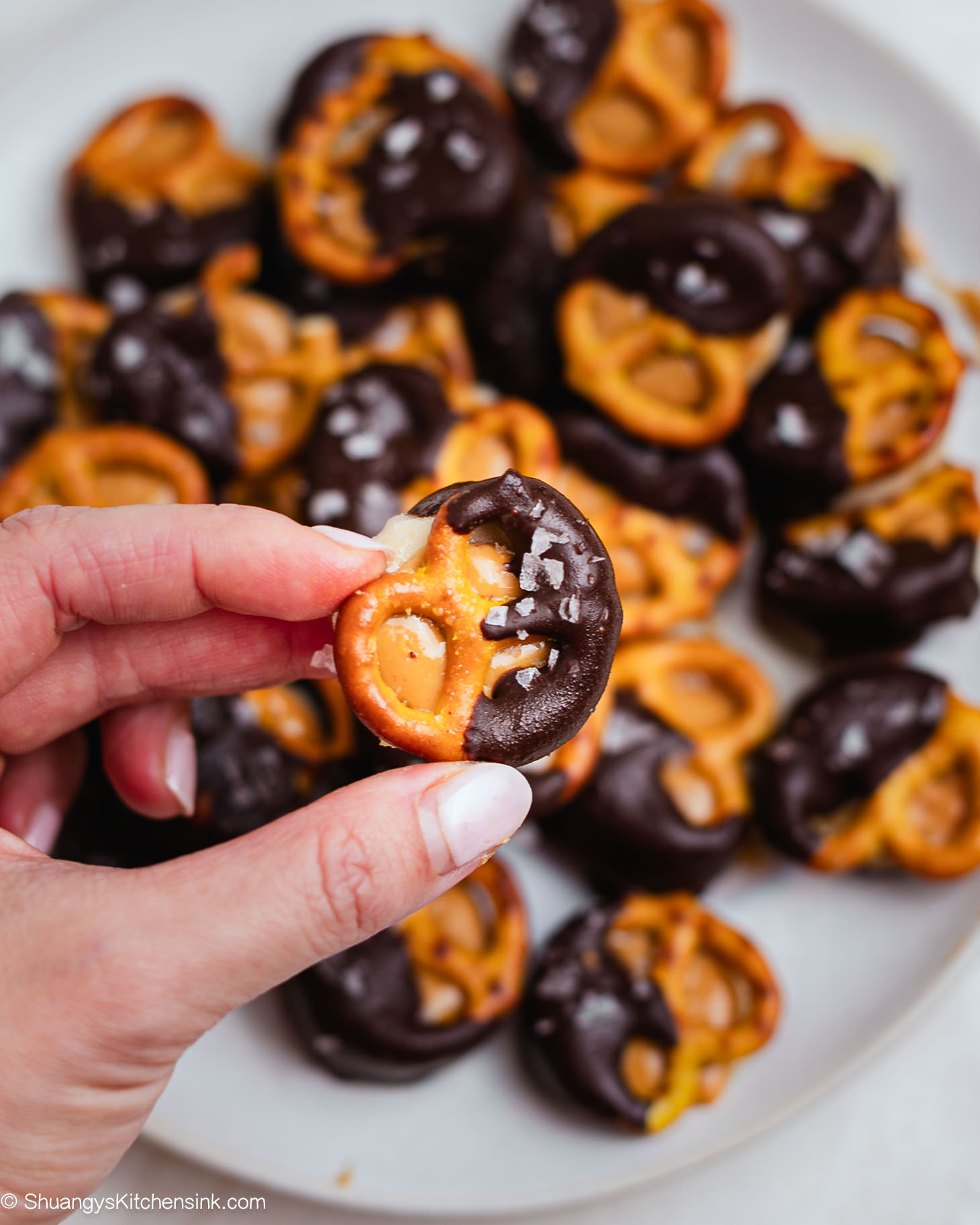 Frozen peanut butter banana bites made with banana slices, pretzels, creamy peanut butter, and a drizzle of melted dark chocolate, sprinkled with sea salt.