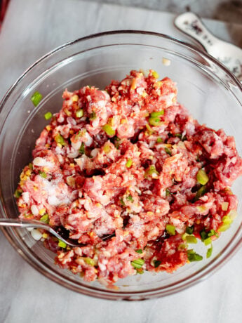 Ground pork combined with ginger, green onions, coconut aminos, Shaoxing wine, sesame oil, and salt before mixing into a juicy dumpling filling.